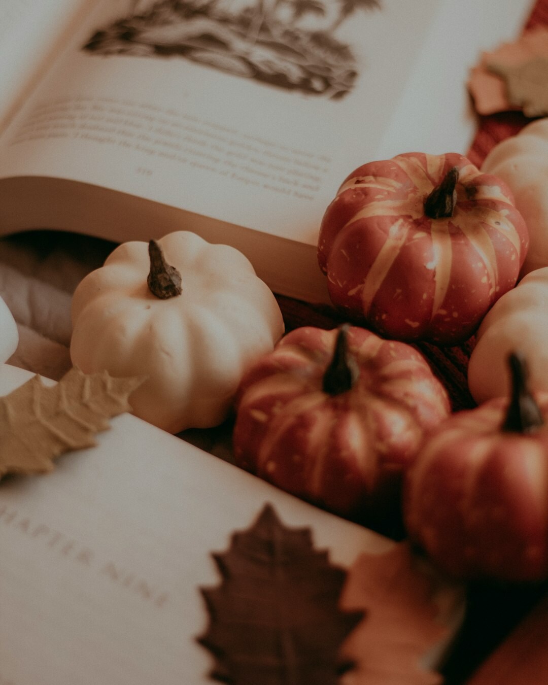 autumn bookstore scene