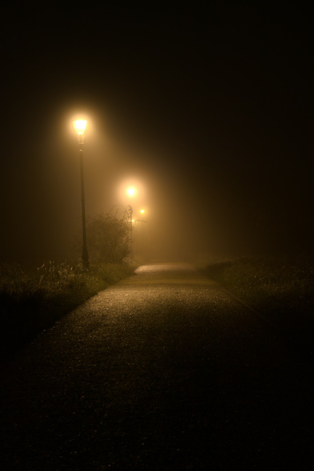 Foggy night street with a glowing lantern