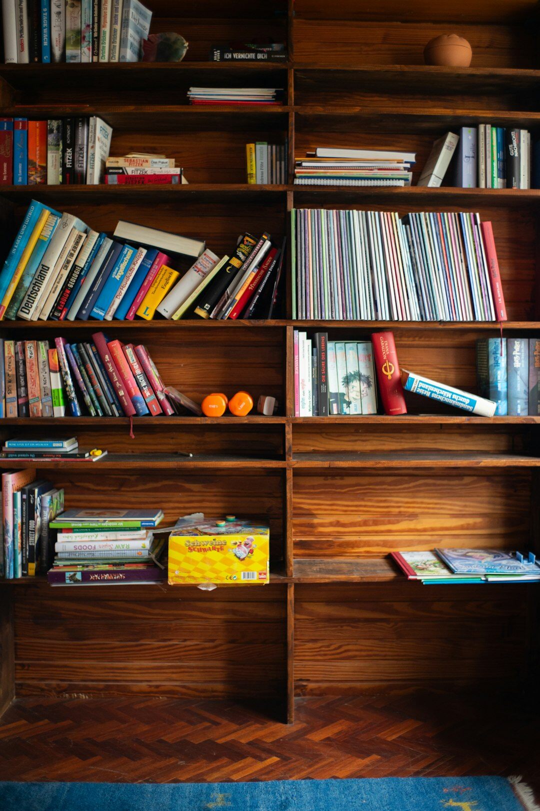 bookshelf with novels